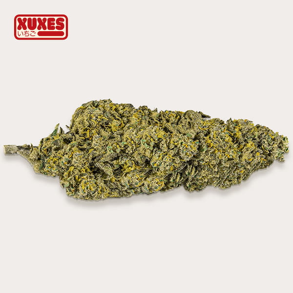 Strawberry CBD > Xuxes | Productos CBD